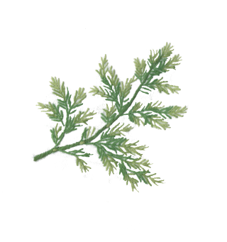 Leaf decoration