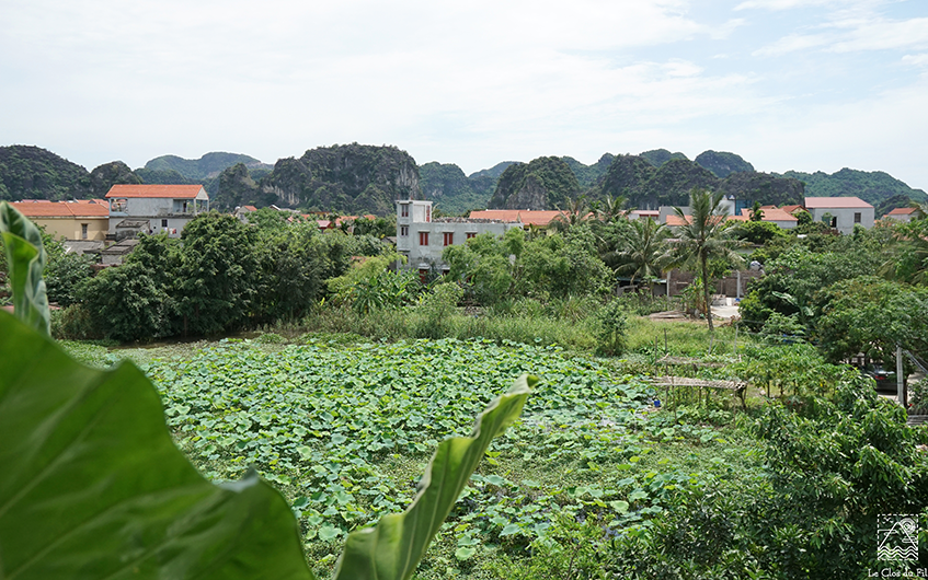 Phòng Premium