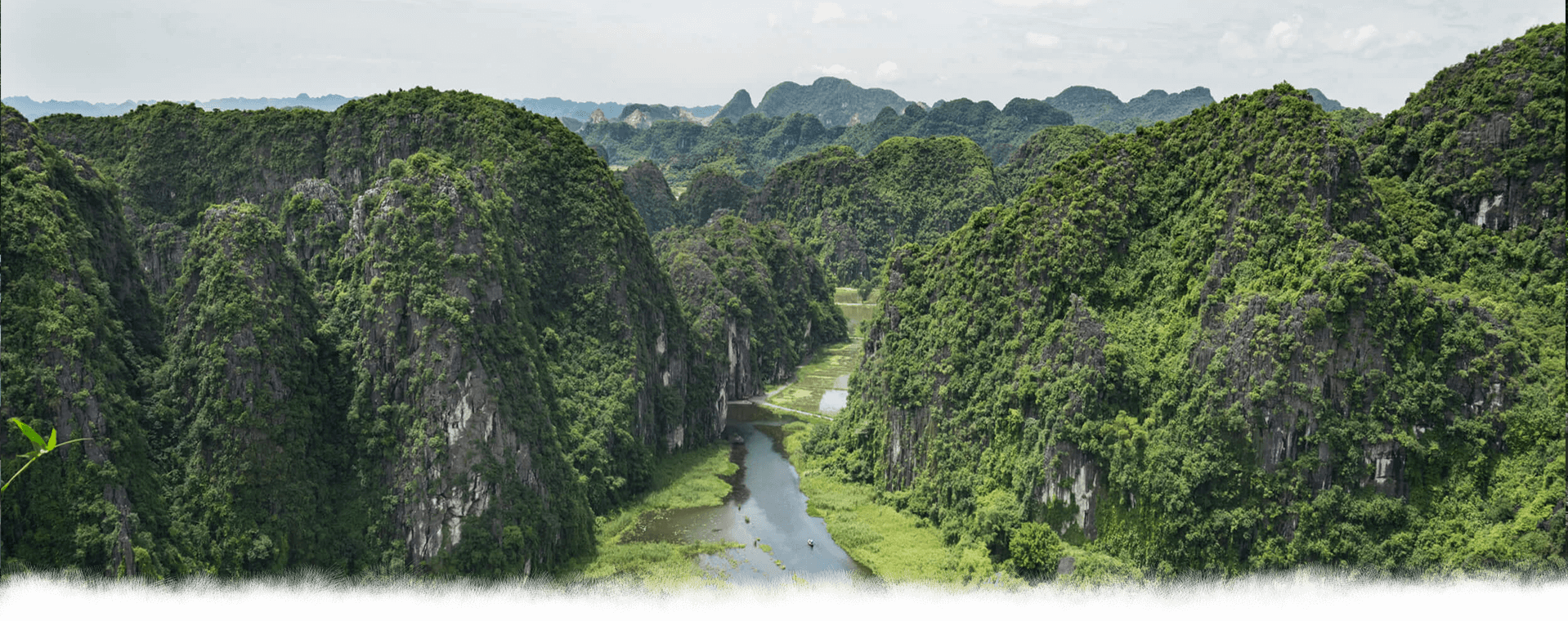 Tuyển dụng