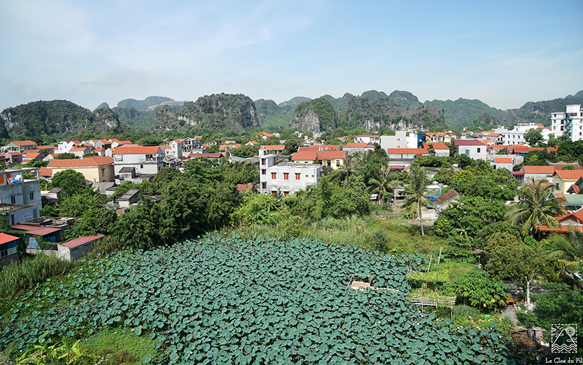 Phòng Suite